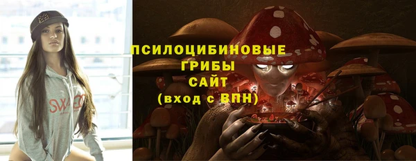 бошки Бердск