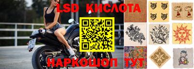 сатива Гай