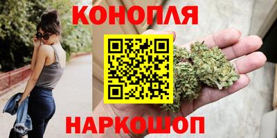 сатива Гай