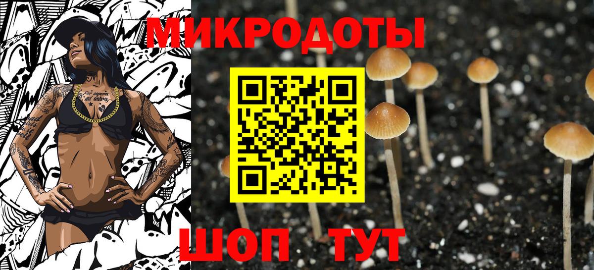 Псилоцибиновые грибы Psilocybe  Вход с VPN  Десногорск 