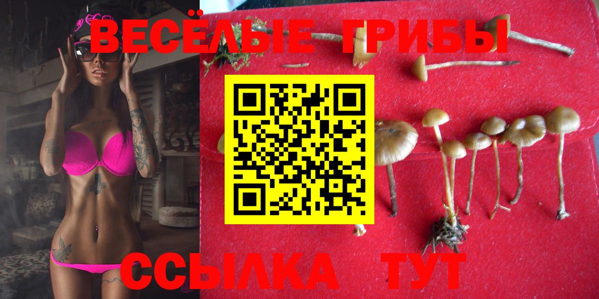 Галлюциногенные грибы прущие грибы Десногорск