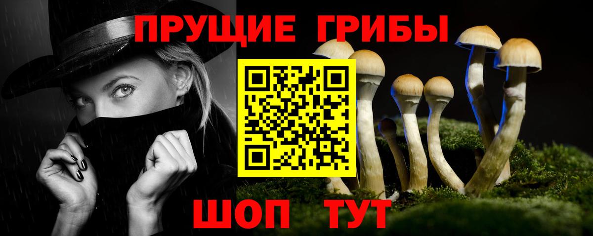 Псилоцибиновые грибы MAGIC MUSHROOMS Десногорск